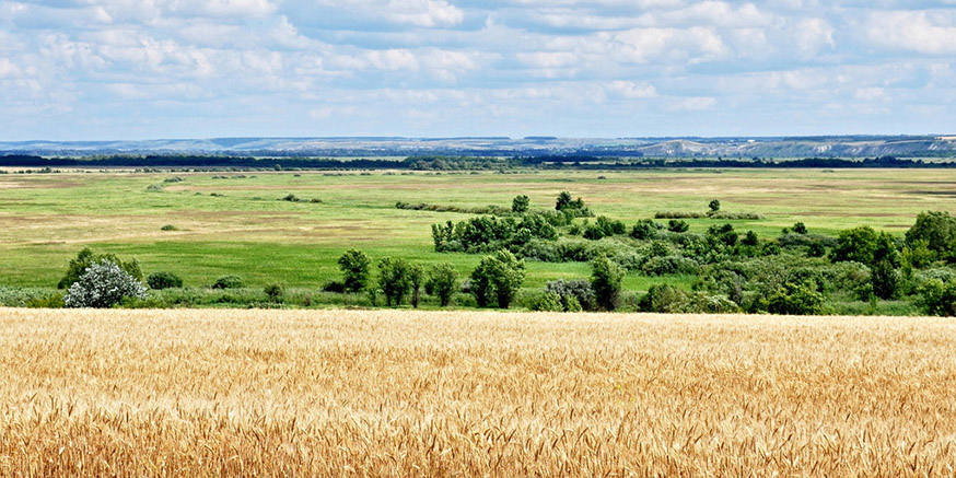 Главная
